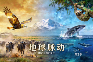 纪录片《地球脉动》海报，壮丽的自然景观与野生动物